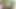 Hint teyze 61