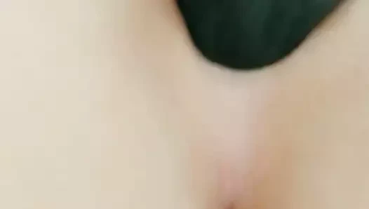 yakın yukarı ejderha kedi