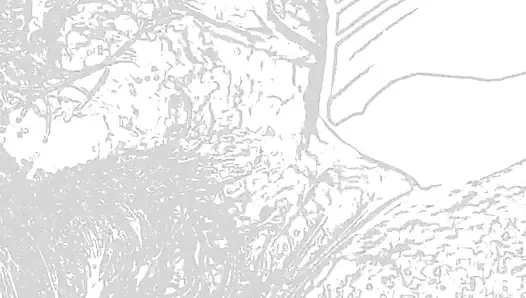 eşimin yüzüne geldi