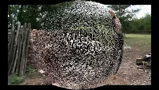 Sadece eğlence için – bayan shakira, açık havada sıkı çalışmayla alt sınıfına hükmediyor