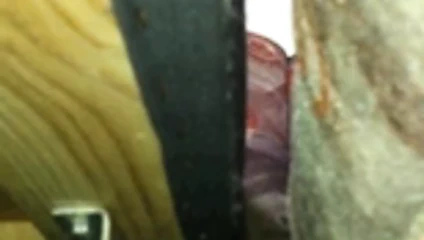 Kahrolası ve boşalmak arasında the kanepe