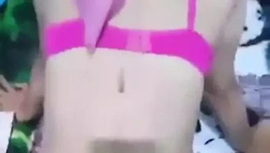 Kamelia