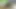 Rot mails video xix
