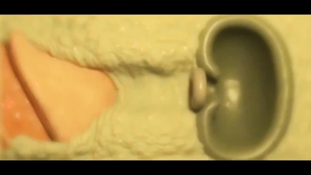 Tombul goblin üvey anne domalıyor