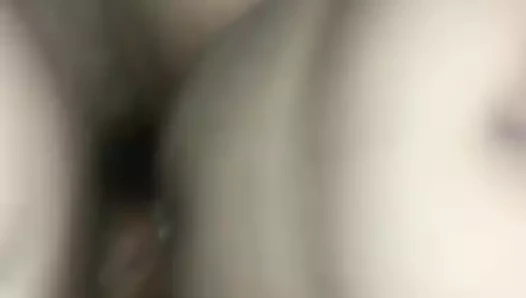 Delicia 3
