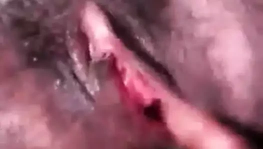 Şişman png milf kedi parmak arabada