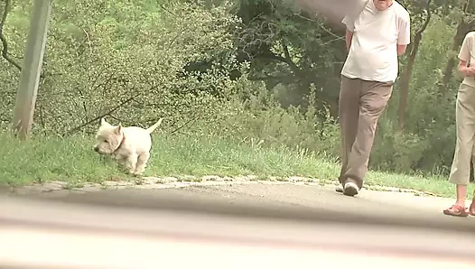 Alman ateşli günlük