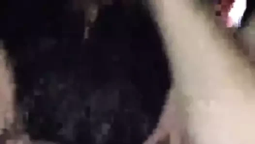 Youporn - sıkı-genç-kedi-doldurulmuş-horoz.mp4