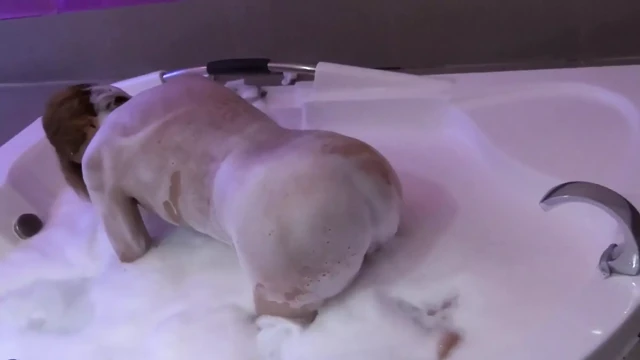 Üvey erkek kardeşimin büyük yarağı beni tutkuyla deli ediyor, motel jakuzisinde bundan zevk alıyorum