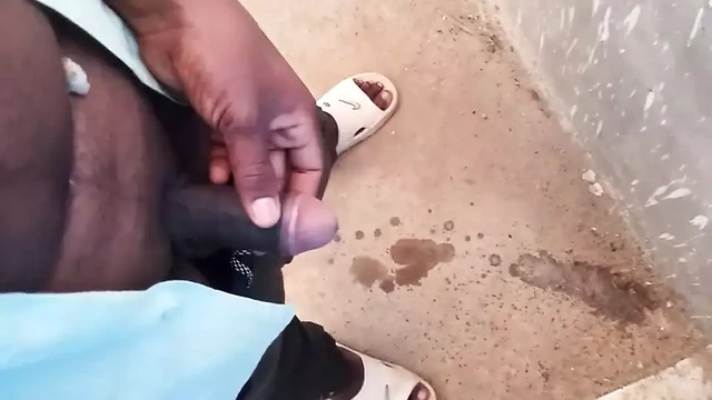 Mera land kitna pyara hai