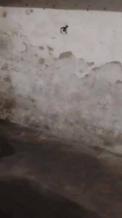 Kız arkadaşımla ilk kez seks yapıyorum | Klip 1
