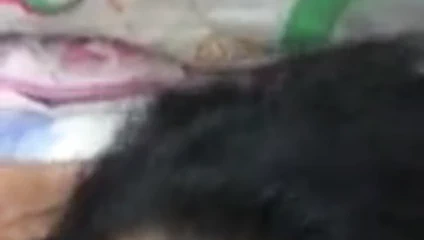 Deshi teglu yenge güzel seks