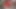 Güzel Amerikalı orta yaşlı seksi kadınlar amında büyük yarak ve götte dildo istiyor (tam film)