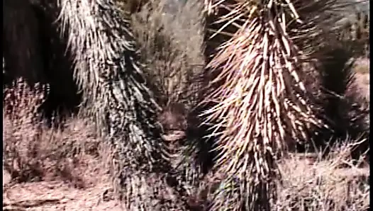 Çarpıcı sarışın ile mükemmel göğüsleri kumsalda delinmiş onu sıkı pembe amını alır