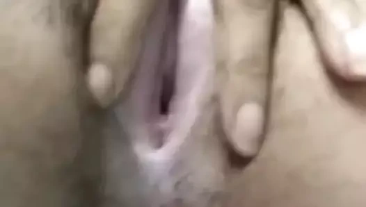 Masterbraing Hint çok seksi kıllı kedi