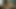 Büyük memeli zenci sürtük Monet Staxxx mutfakta gazını yağlıyor