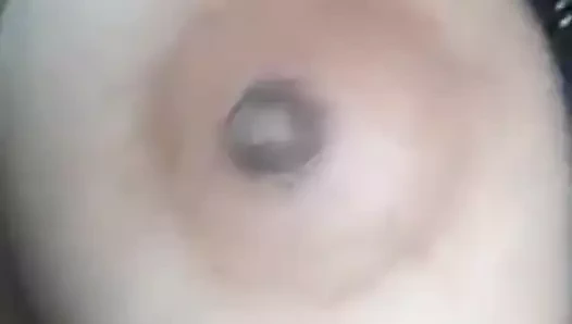 Desi yenge gösterme kedi ve göğüsler