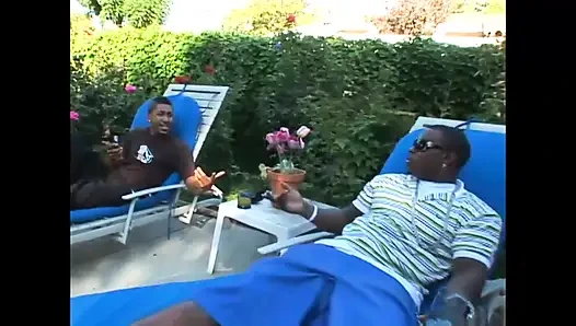 Siyah panter siyah adamlara karşı !!