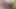 Üniversiteli lezbiyenler sahne-4 lezbiyen öğrenci sabrina jay&minnie manga üniversiteden sonra birlikte mastürbasyon yapıyor