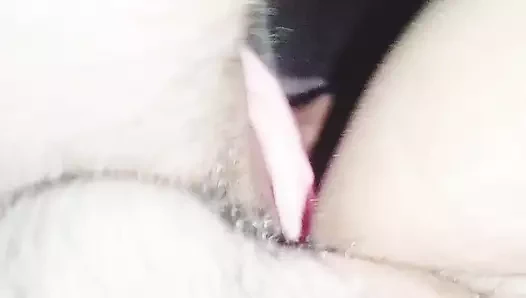 sıkı KEDİ yerel desi kız 2023