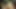 Kenzie reeves her zaman bir üvey kız olarak büyük bir horoz hakkında merak etti