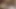 Anastasia sahibe adamı dildoyla götten sikiyor - anal esnetme