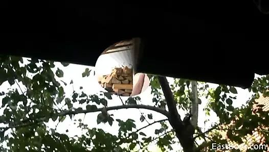 azgın köy twinks - aiden ve arkadaşı