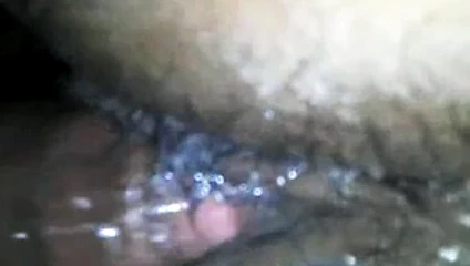 Proje kedi süper ıslak