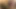 Hindistan yaz lily labeau ve steve katıldı