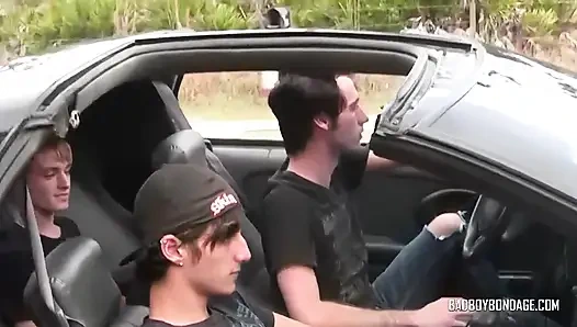 Sevimli otostopçu başı belada