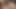 Kaylee hilton ve holly michaels - kapalı yurtların arkasında - rea