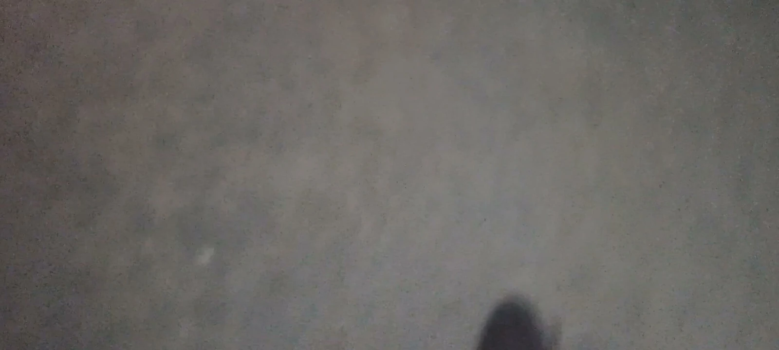 Spacer po spotkaniu w parku w Leborku Spacer po konsultacji w parku w Leborku