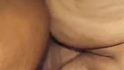 Yukarı yakın ssbbw kedi besleme