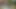 Seksi hatun büyük bir yarağı emiyor ve amına sokuyor