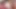 Seksi hatun sevgilisi sıkı amcığını canavar bir dildoyla iterken inliyor