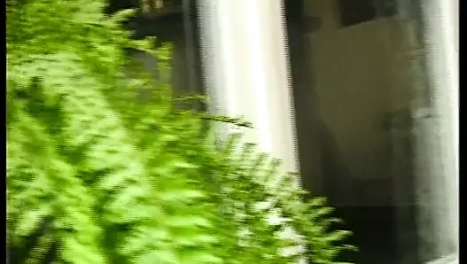 ficken fuer anfaenger