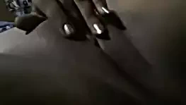 Kamboçya kıllı kedi