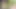 Üstsüz büyük memeli iri güzel kadın houseplant turu
