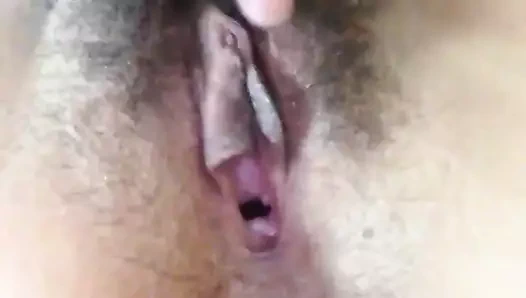 amatör Asya kıllı KEDİ