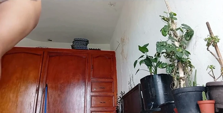 Oda Temizleme Servisi