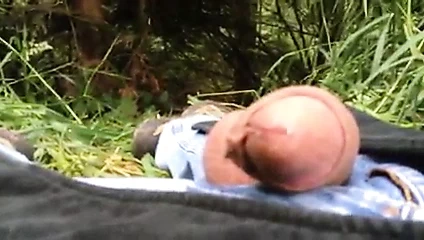 sivrisinekleri beslemek 3