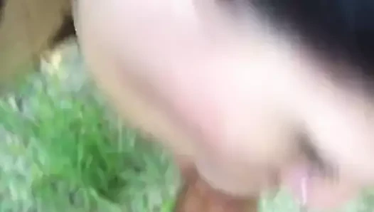 Ormanda bir yürüyüş