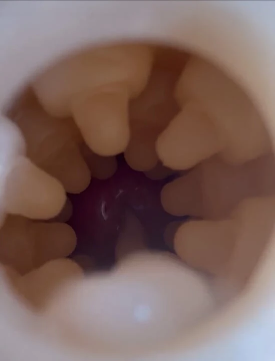 Stoya destroya fleshlight iç veiw ile sikişiyor