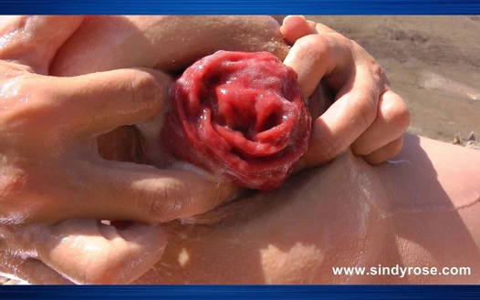 Sindy Rose Rocky Valley'de götüne yumruk sokuyor ve anal sarkma