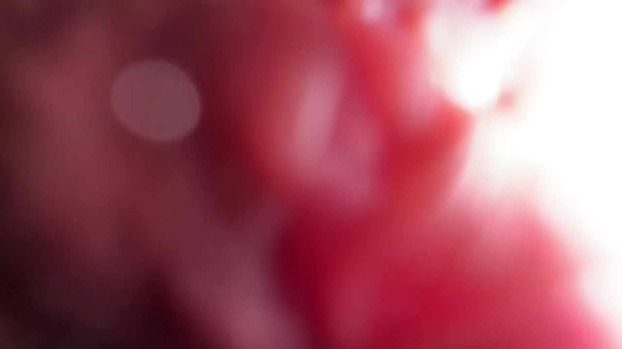 Extremely close up ass worship and talk