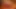 Flower tucci courtney cummz ayartmak öğrenci