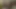 At kuyruklu kızlar bazı oyuncaklarla ve büyük bir kayışla çok eğlenirler