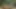 Bugün Savita yenge amına silikon sokuyor
