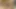 Hizmetçimin çok seksi bir vücudu var ve büyük yarağımı istiyor