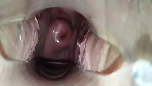 Kedinin içinde ne var. rahim yakın çekim!